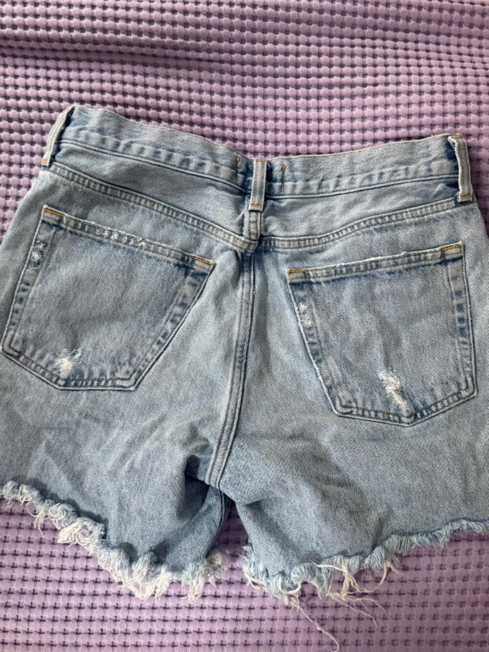 Agolde Parker Long Shorts